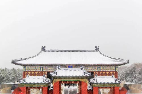 故宫的雪景实在太美了!红墙内外,白雪纷纷