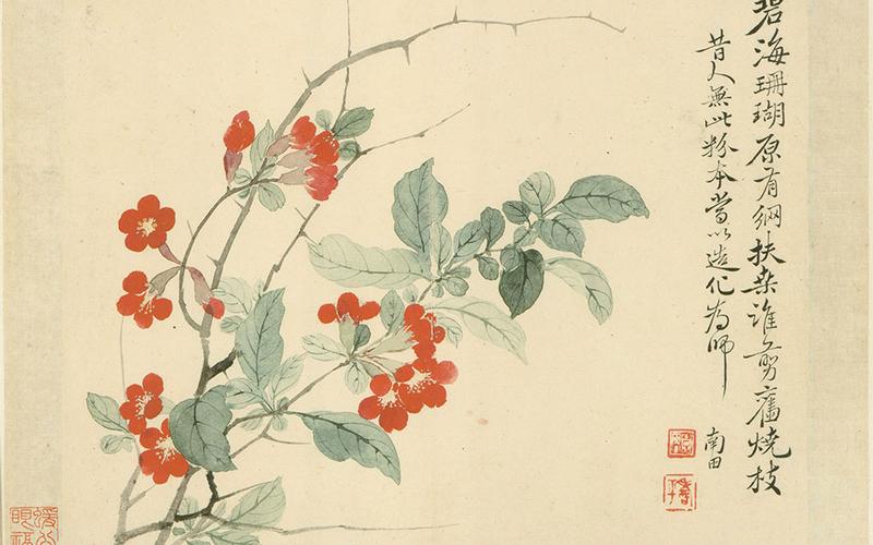 花卉册1 恽寿平 清代