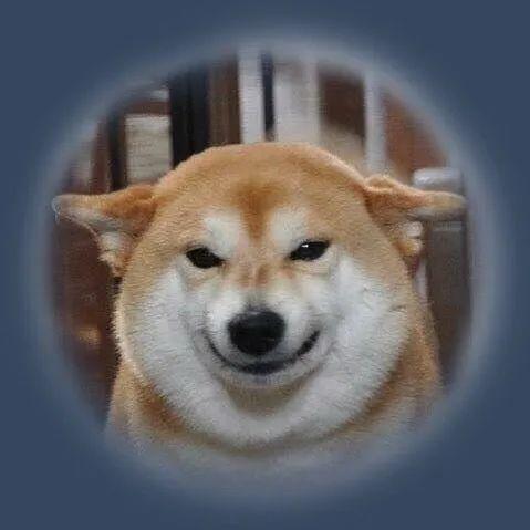 狗子头像可爱又憨憨的狗子头像奶凶奶凶可爱情侣狗子头像