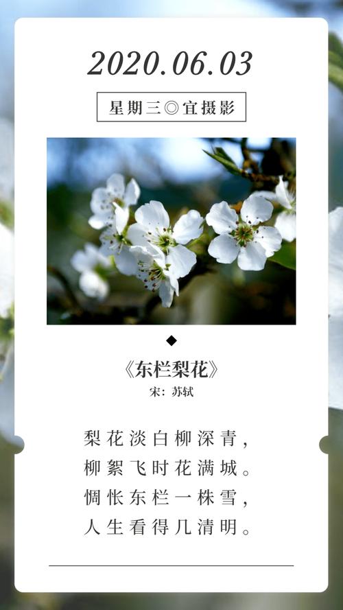 苏轼最著名的写梨花的古诗前两句是景色描写