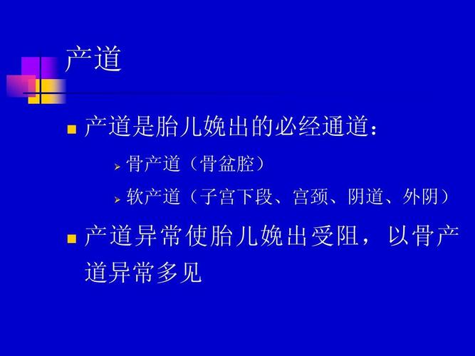 产道异常ppt