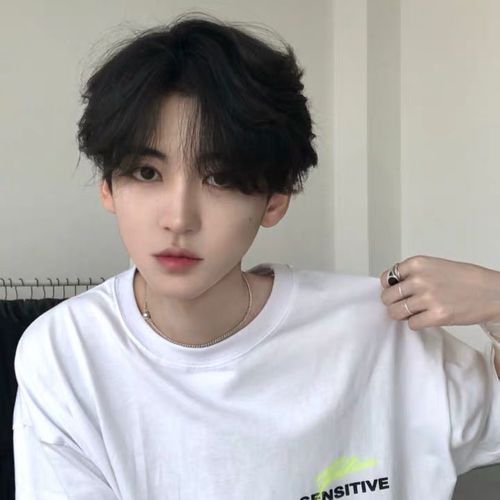 网红同款假发男短发中分刘海男生短直发韩版帅气逼真学生黑全头套