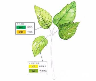 水彩树叶的画法