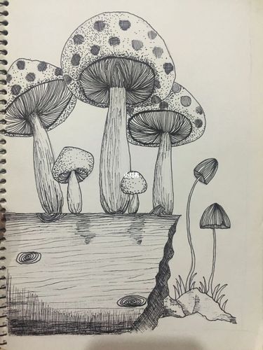 构图简单,描线即可,超解压!