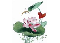 "水墨莲花"的相关图片(共有 94 个)