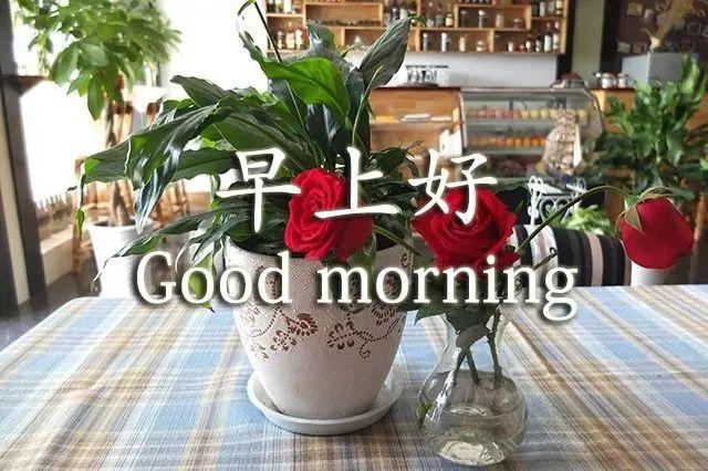 下午好表情图大全下午好问候语动态图片表情大全11月下午好祝福语图片