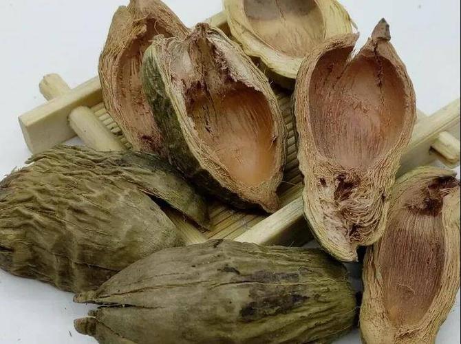 每天学习一味中药——大腹皮