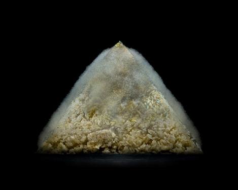 家电售后保养:食品放冰箱更易发霉?