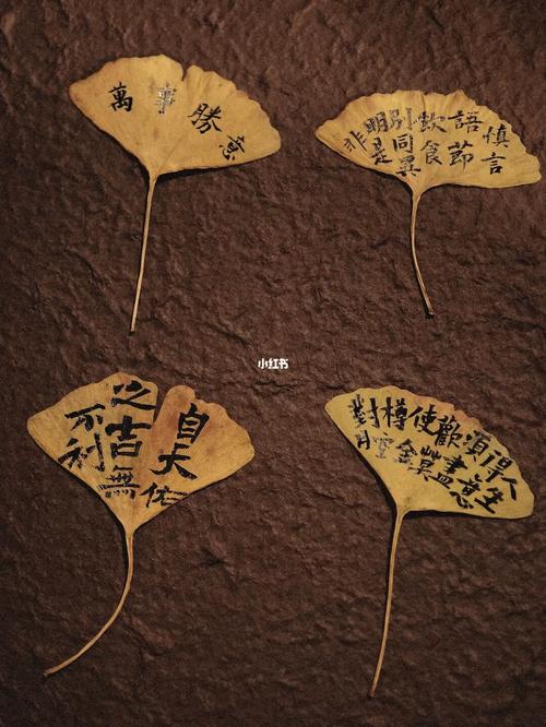 手写|银杏叶书签太好看了吧!_手写_书签_文案_手写书签_文化_书法