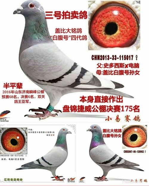 半平辈做出大庆浩宇公棚决赛4名汽车大奖赛冠军.