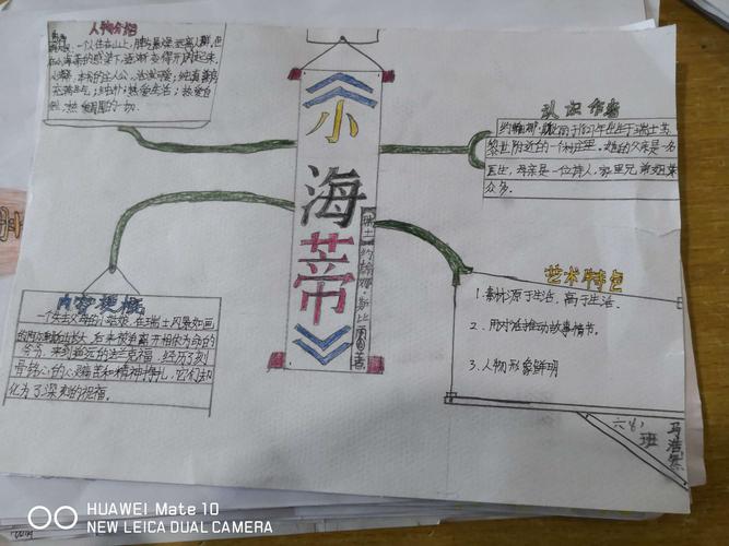 《小海蒂》阅读收获 ——思维导图展示