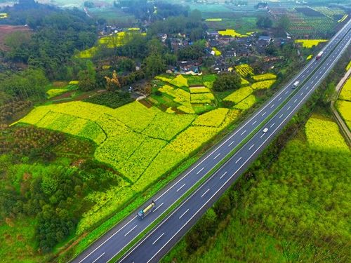 成温邛高速公路邛崃桑园段