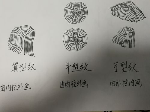 在简书学画8指纹的联想