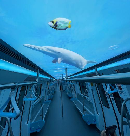 而事实上,厦门地铁3号线也确实是需要从海底穿行,湖里区五缘湾站到