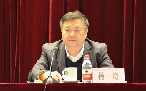 公安部治安管理局副局长杨奇出席会议并讲话.