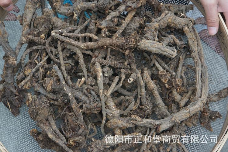 四川阿坝州野生羌活统货个子 有残羌个 有尾羌 无熏硫 大货联系