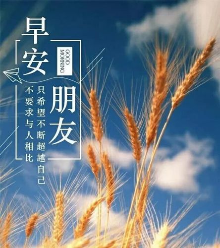 11.20早安最美一句话
