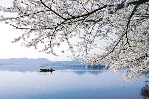 我和鲜花的约会 三月旅游赏花大攻略 (转载)