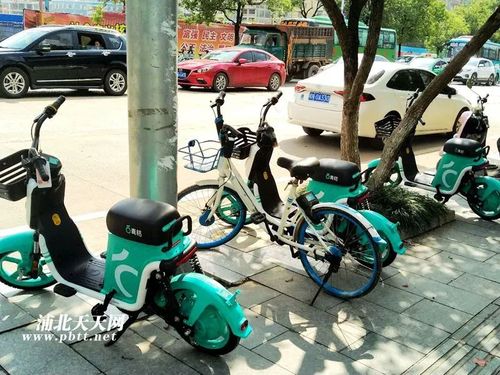 它来了它来了!共享电动车"小青"空降浦北,还不快来撩!