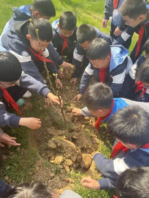 校园新闻春风送暖意忙种添新绿记晓庄小学开展植树节系列活动