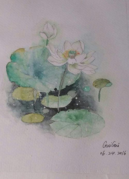 这次是荷花,自学照着别人的画临摹 有一起入门的新手吗?