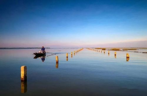 智慧旅游小助攻!鄱阳湖吴城候鸟小镇智慧景区上线啦!