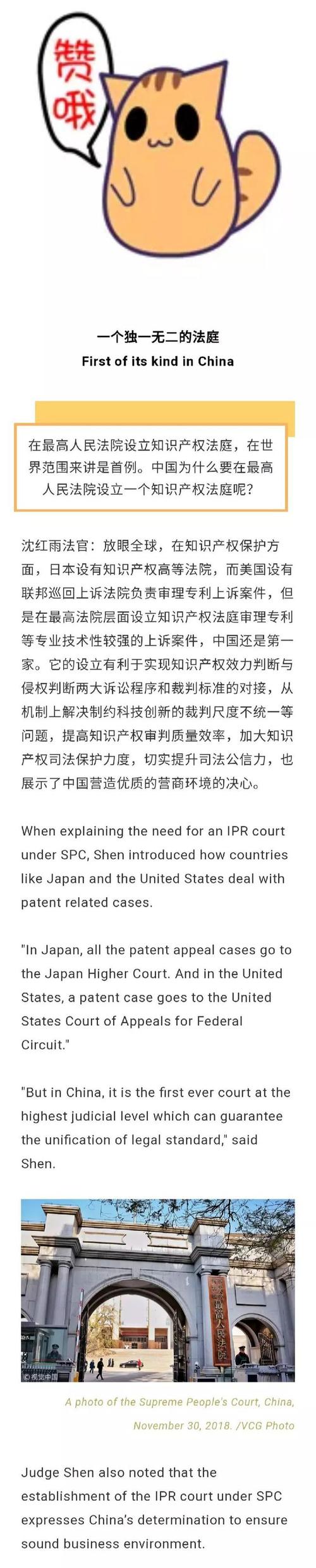 最高人民法院知识产权法庭沈红雨法官权威解答你心中的疑问