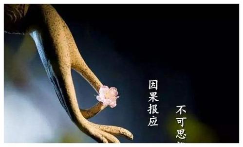 人在行,天在看;善恶终有报,不是不报,只是时间未到