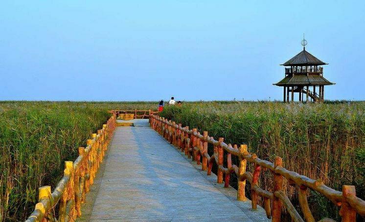 【般阳大队】9月30日东营黄河入海口风景区休闲摄影一日游