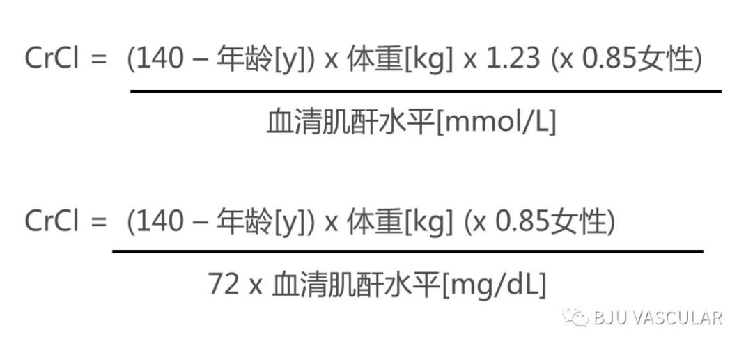 (肌酐清除率估算公式)