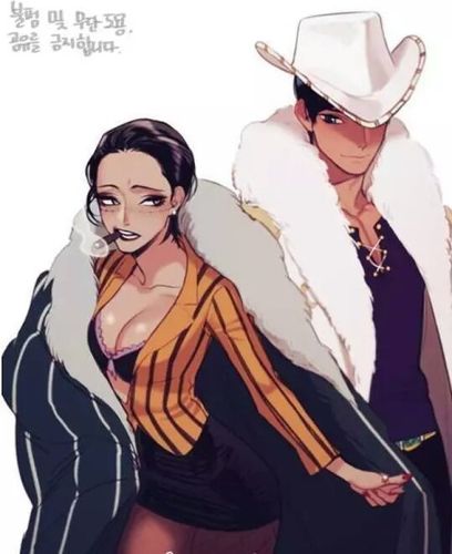 克洛克达尔,罗宾〔海贼王〕