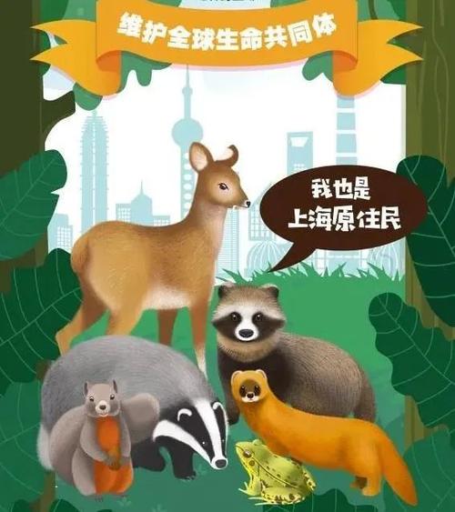 这场活动绘就生物多样性美丽画卷~快来为优秀作品投票