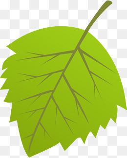 卡通绿色叶子矢量图