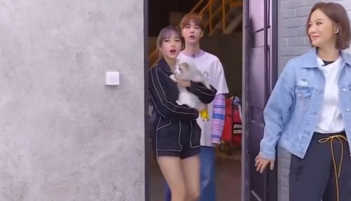 王一博抢过程潇筷子就吃火锅,程潇居然没