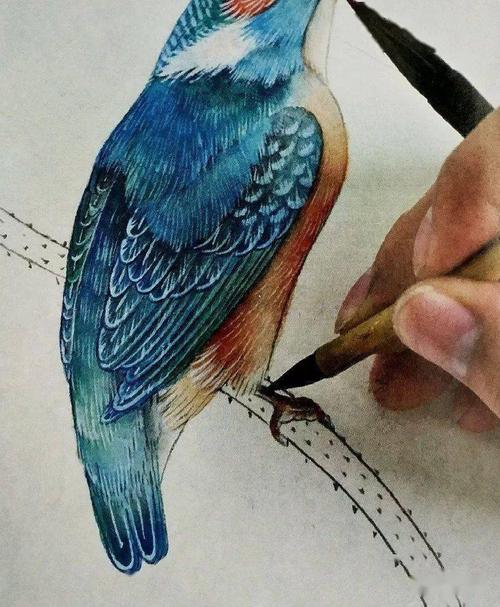 工笔技法分享:翠鸟的详细画法及其着色步骤