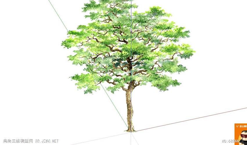 秋枫