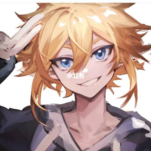 凹凸世界金头像