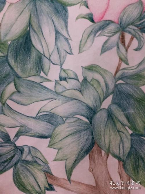 彩色铅笔画,4开,95