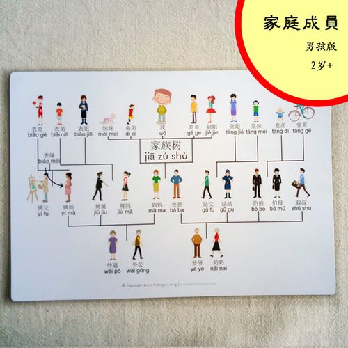 早教启蒙 思维导图family tree 家庭树家庭成员关系 【可以定制】