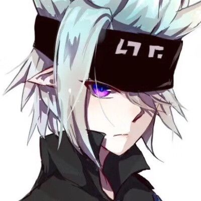 嘉德罗斯,格瑞,安迷修,雷狮