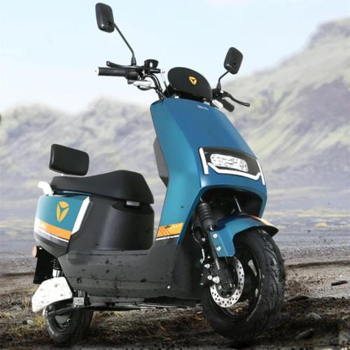 一号选手:雅迪莱达