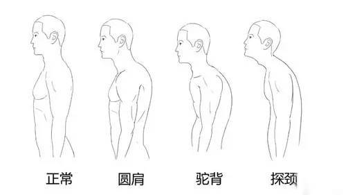 人的肩膀简笔画