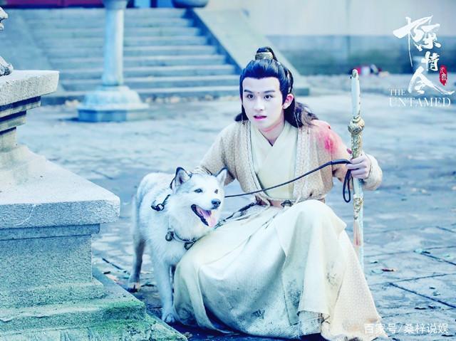 《陈情令》"金陵"出新剧?呆萌依旧变身帅气王子重出