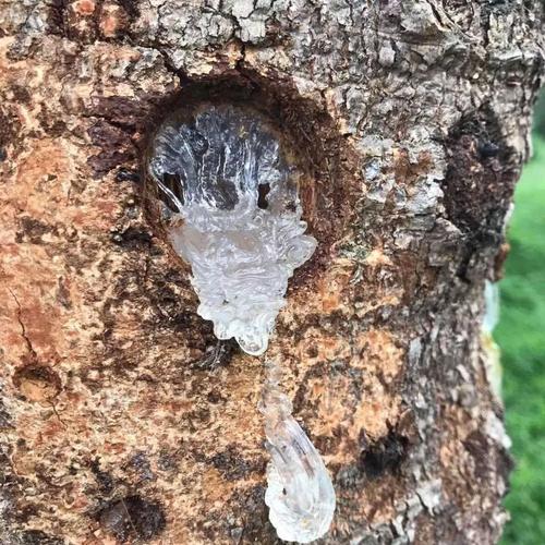 一碗成本只要5元.