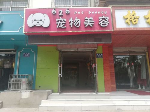 洸河路益民西区宠物店生意转让(可空转)