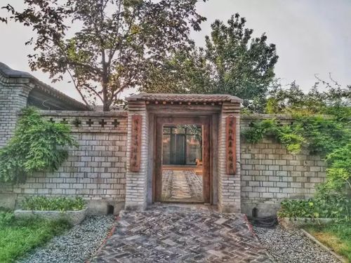 院子改造这样才叫美,配上老砖墙,更带感!