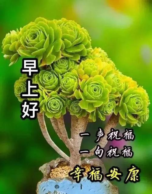 早上好朋友新版早安问候语图片带字温馨2021夏日有创意的早上好图片带