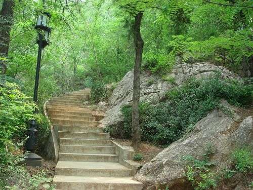 关于余姚龙泉山的手抄报 手抄报图片大全