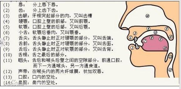 英语咬舌音关于sz08θ的发音方法和发音区别谢谢