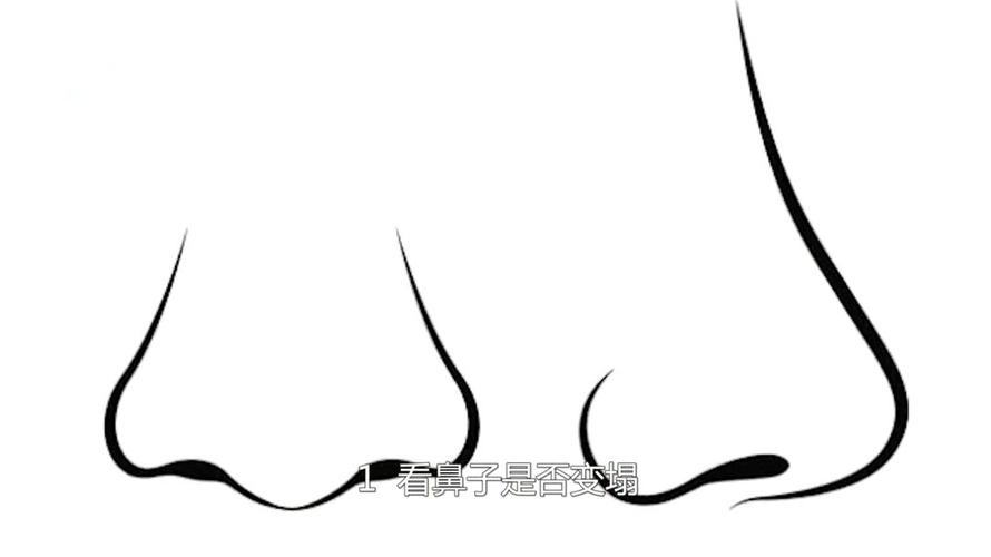 鼻子,营养,新陈代谢